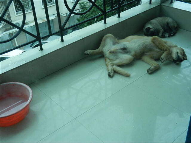 #�ȳ����#�͸����ë�İ���