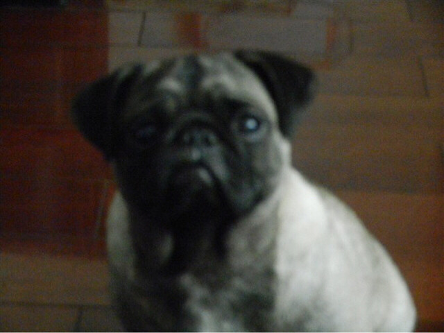 #�ȳ����#�͸����ë�İ���