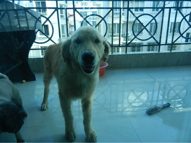 #�ȳ����#�͸����ë�İ���