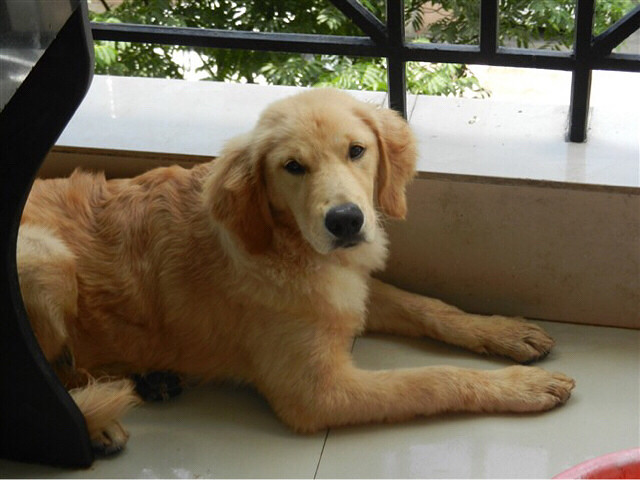 #�ȳ����#�͸����ë�İ���