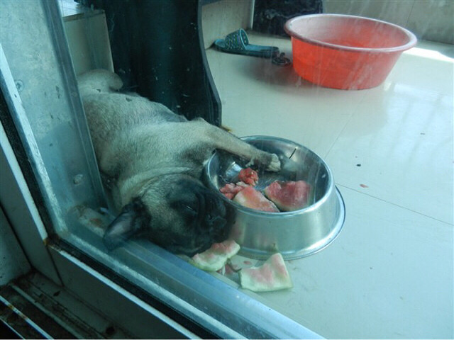 #�ȳ����#�͸����ë�İ���