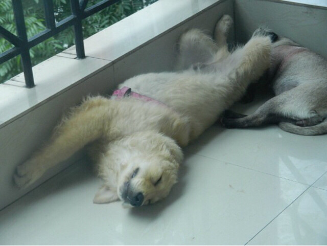 #�ȳ����#�͸����ë�İ���