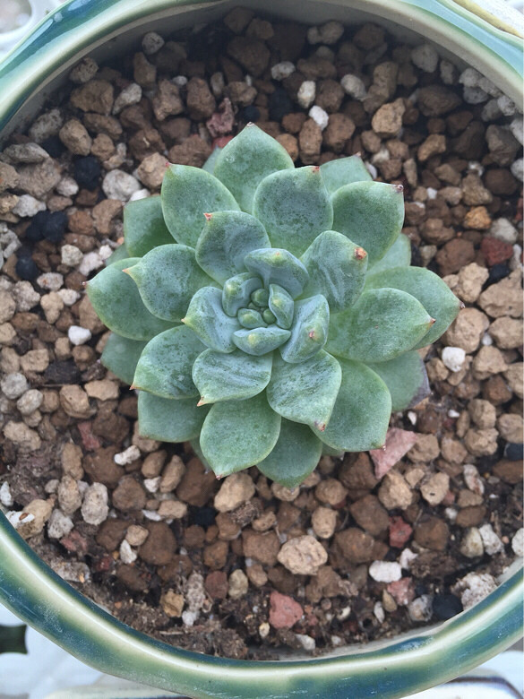 ̨������ǰ������