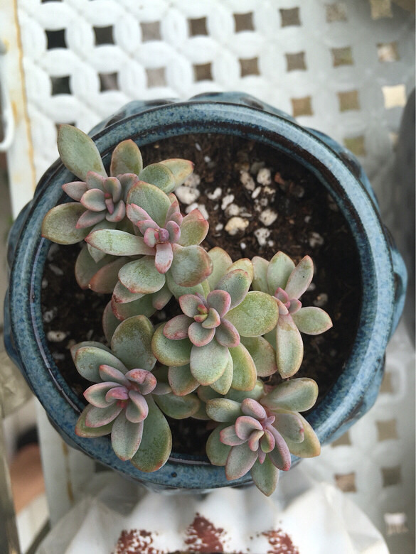 ̨������ǰ������