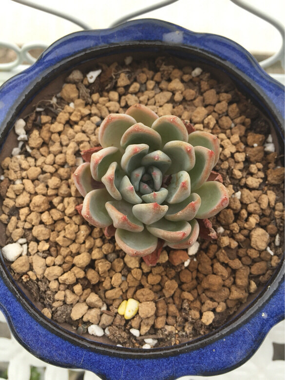 ̨������ǰ������