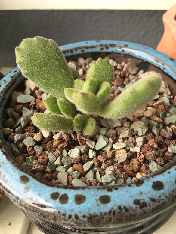 ̨������ǰ������