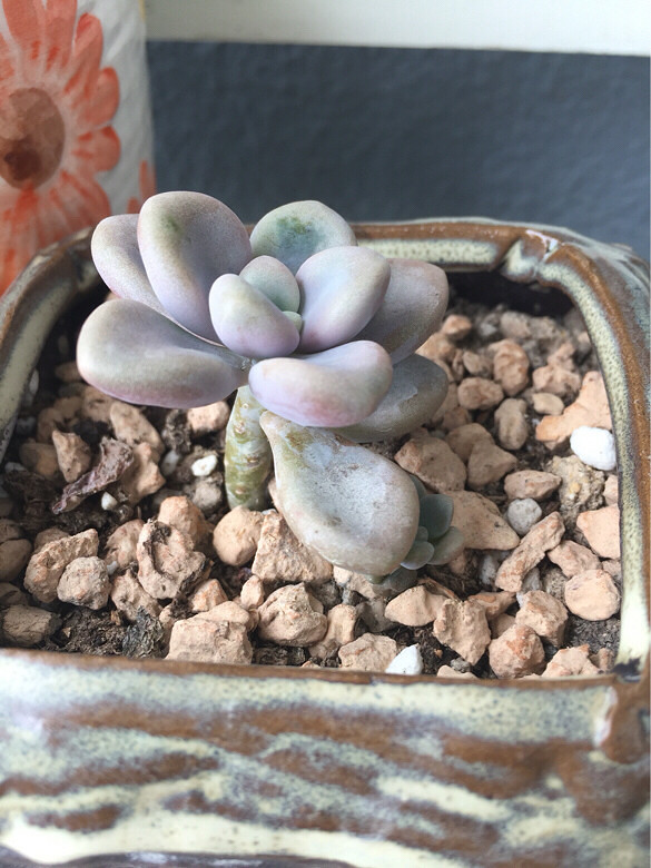 ̨������ǰ������