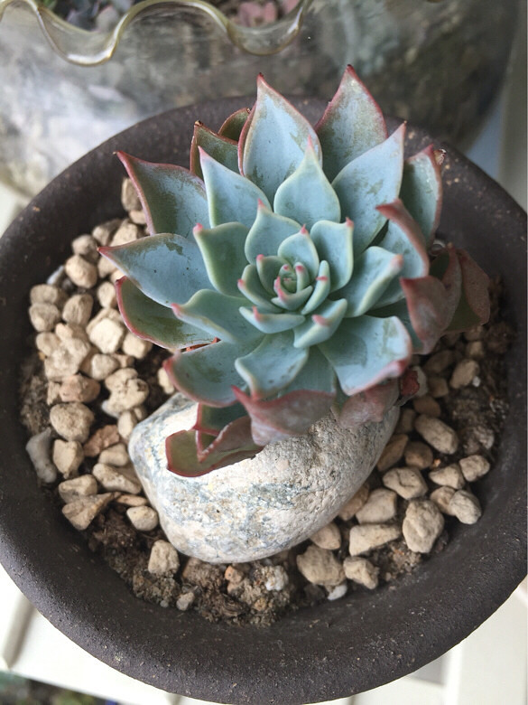 ̨������ǰ������