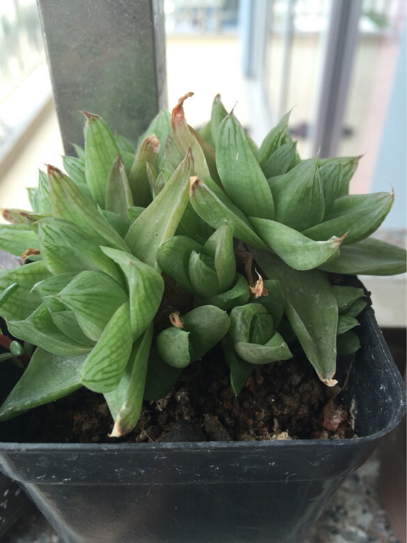 ̨������ǰ������