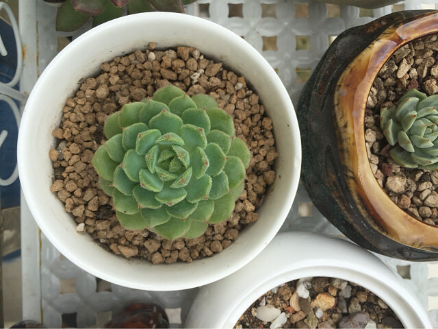 ̨������ǰ������