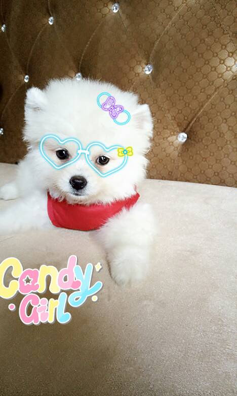 ���Ұ���ң��Ҽҡ���������������7��10