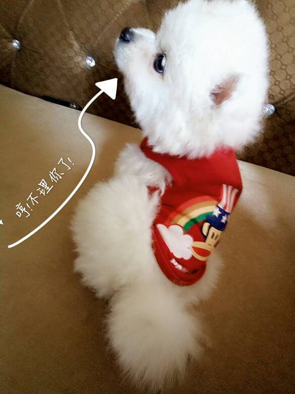 ���Ұ���ң��Ҽҡ���������������7��10