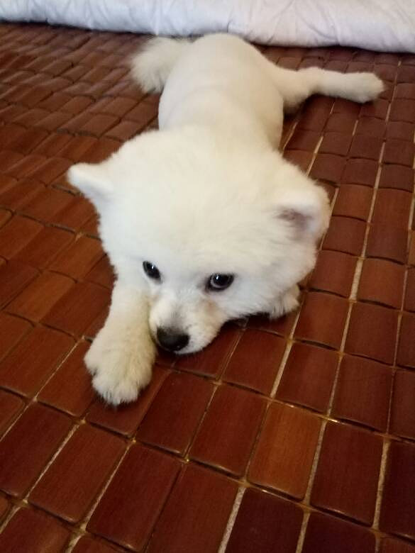 ���Ұ���ң��Ҽҡ���������������7��10