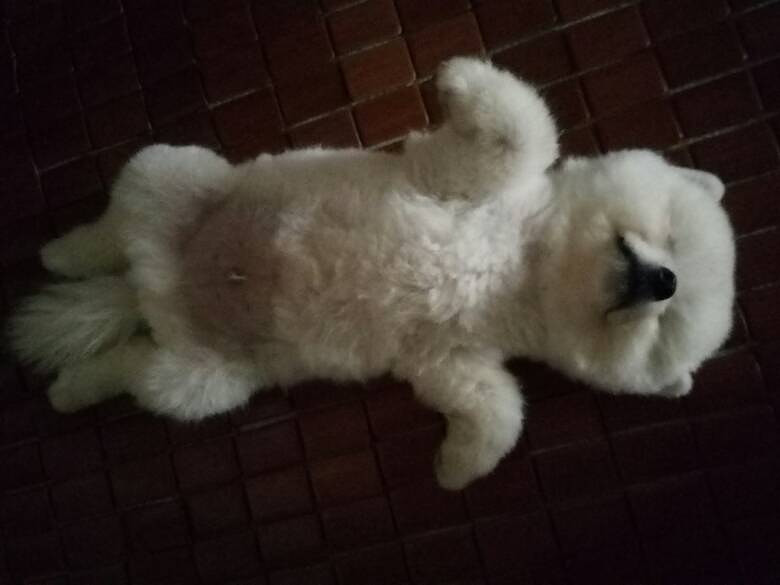 ���Ұ���ң��Ҽҡ���������������7��10