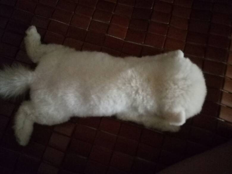 ���Ұ���ң��Ҽҡ���������������7��10