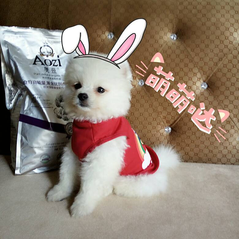 ���Ұ���ң��Ҽҡ���������������7��10