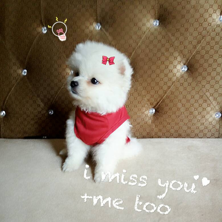 ���Ұ���ң��Ҽҡ���������������7��10