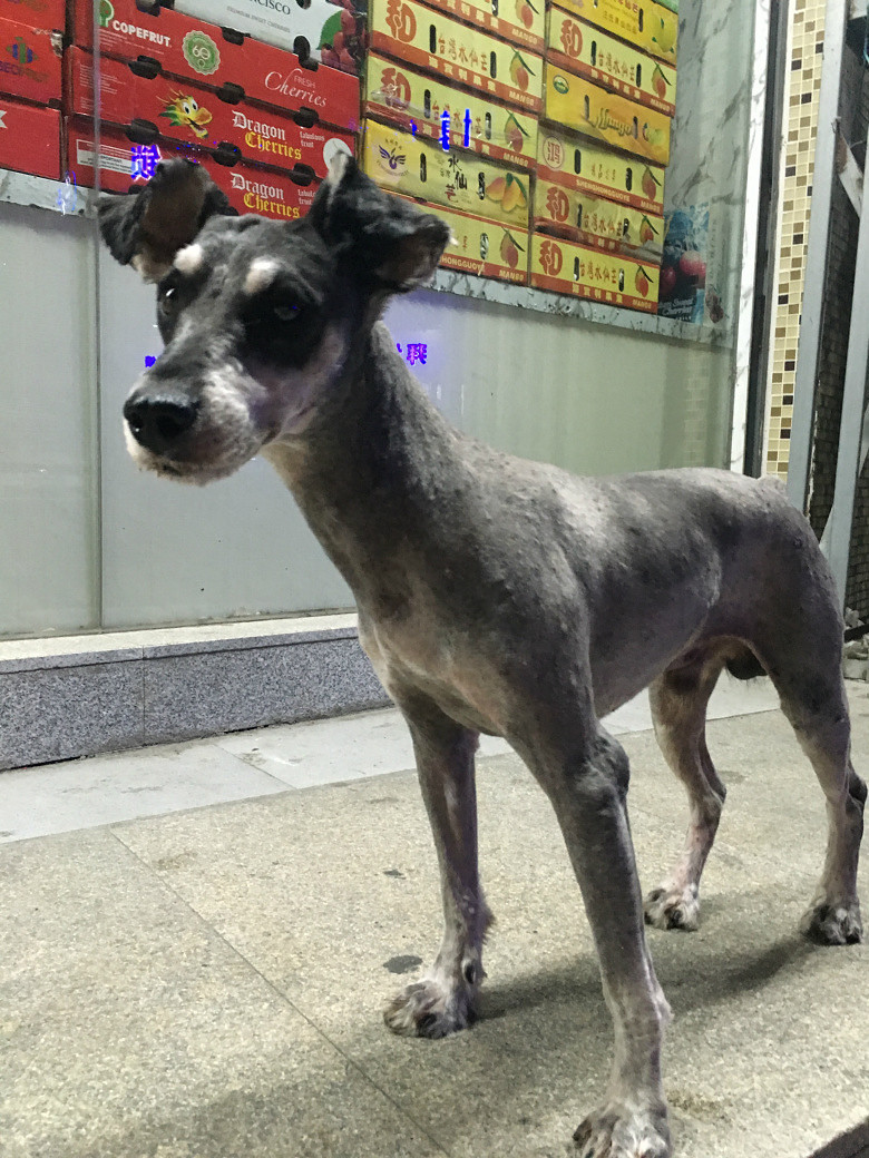 ˭�Ҷ���ѩ���𣬴�Ұ�æ������Χ��û���˶�