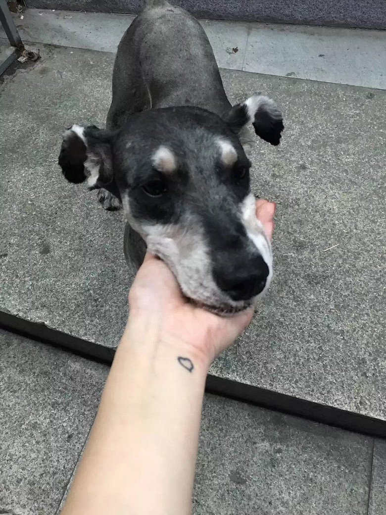 ˭�Ҷ���ѩ���𣬴�Ұ�æ������Χ��û���˶�