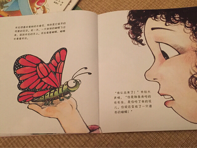 ��6�»汾�������Ĵ���