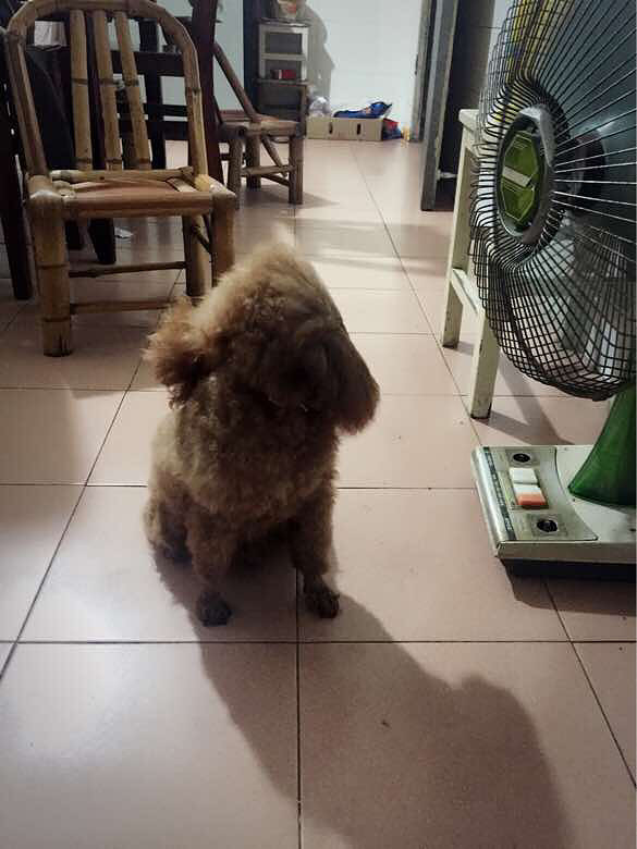 #������#��ռ���ȣ�˭��������