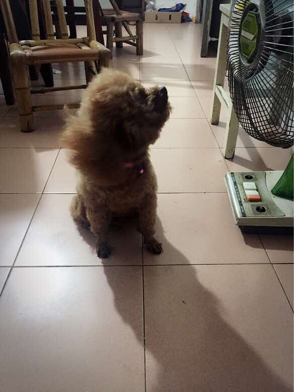 #������#��ռ���ȣ�˭��������