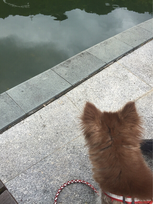 ����������