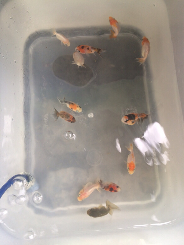 ���������������