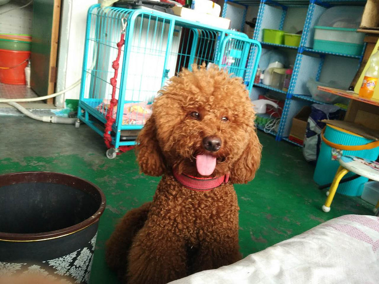 �ҽС�������������������������һ��롣