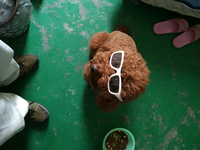 �ҽС�������������������������һ��롣