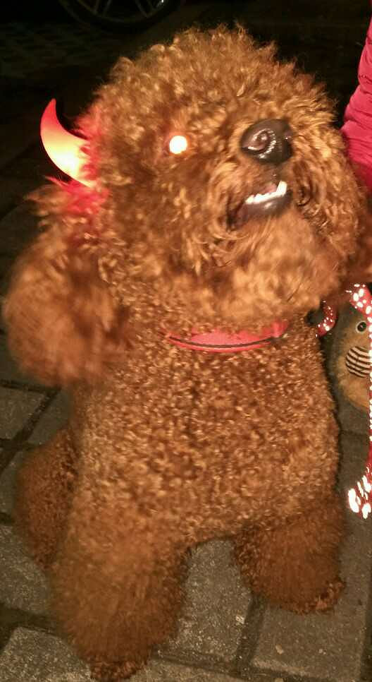 �ҽС�������������������������һ��롣