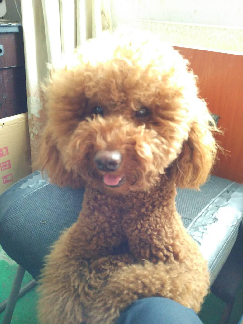 �ҽС�������������������������һ��롣