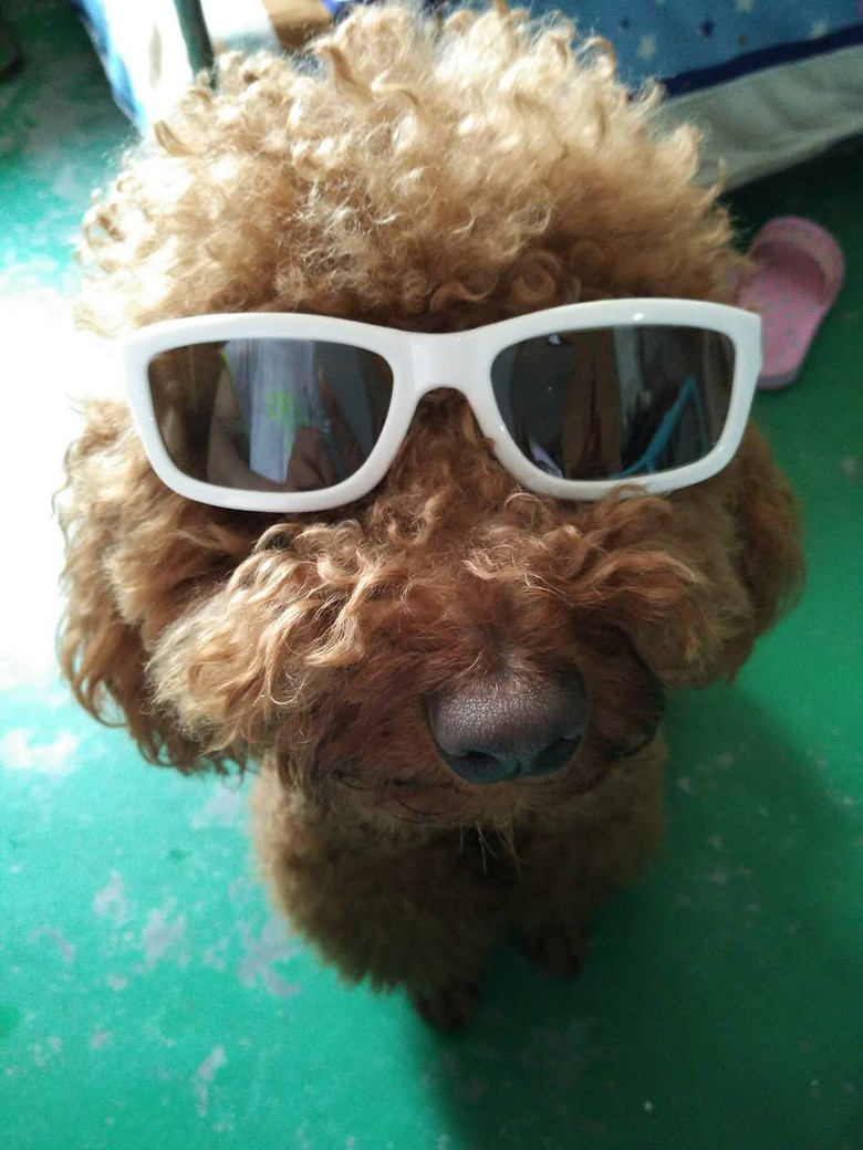 �ҽС�������������������������һ��롣