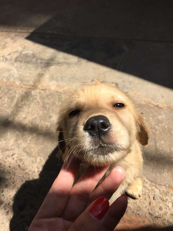 ?6?9ϴ����?6?9����?6?9��?6?9��?6?9��?6?9��?0?5?6?9 ��