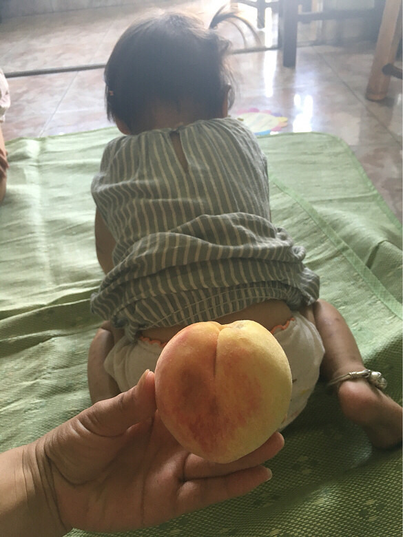 �������Σ�+����������