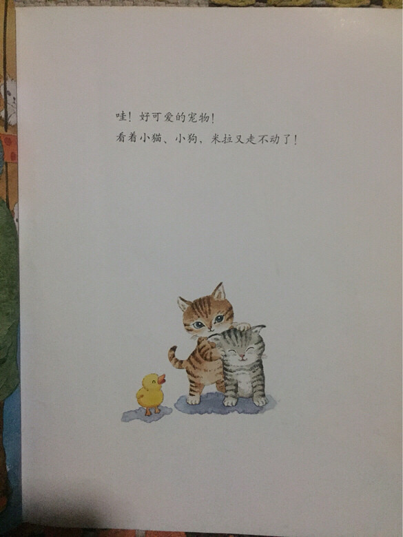 �汾�����ڡ����˵�������