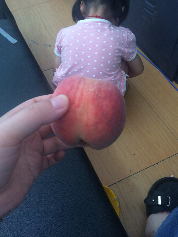 �������Ρ�ץ��