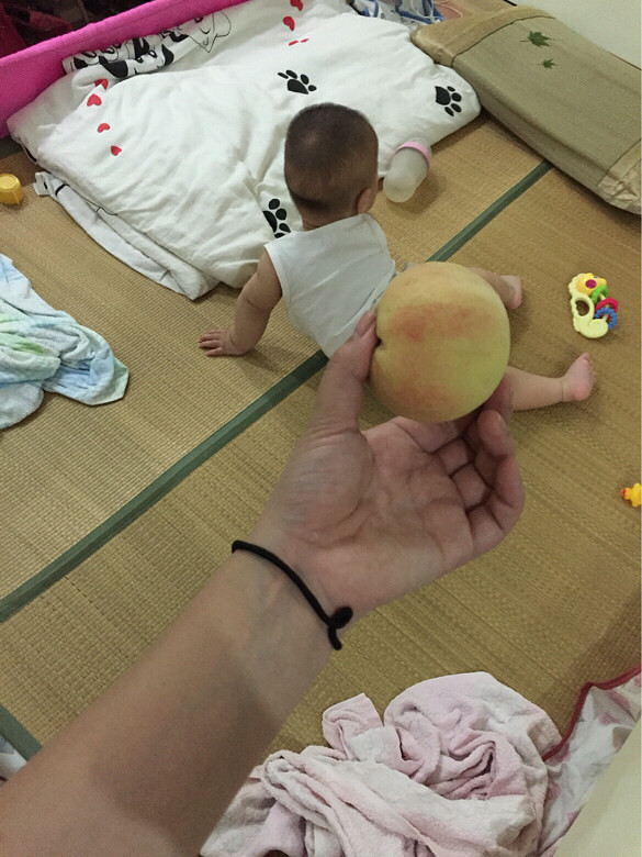 �������Ρ�+�����