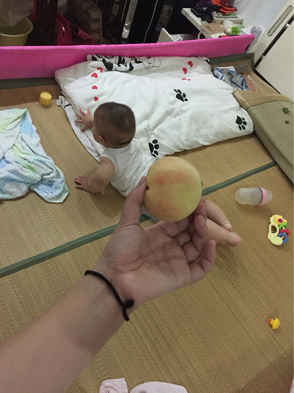 �������Ρ�+�����