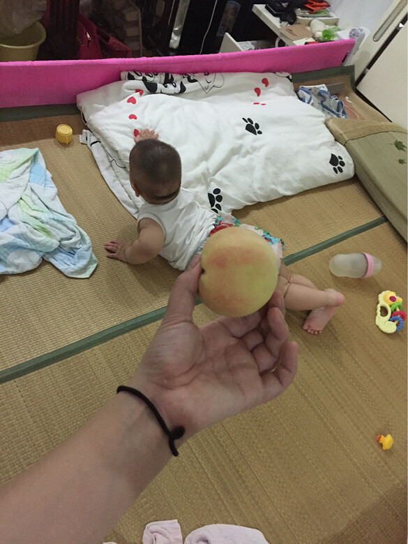 �������Ρ�+�����