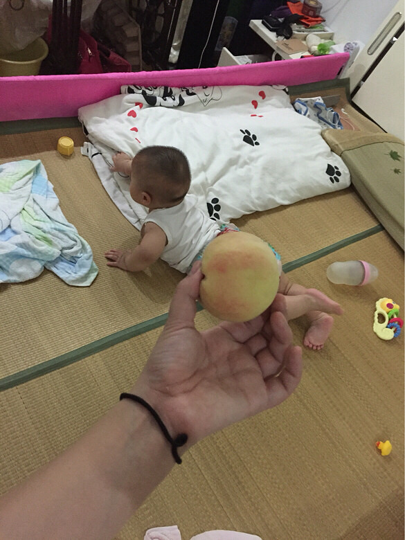 �������Ρ�+�����