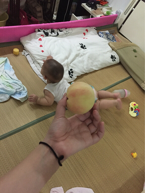 �������Ρ�+�����