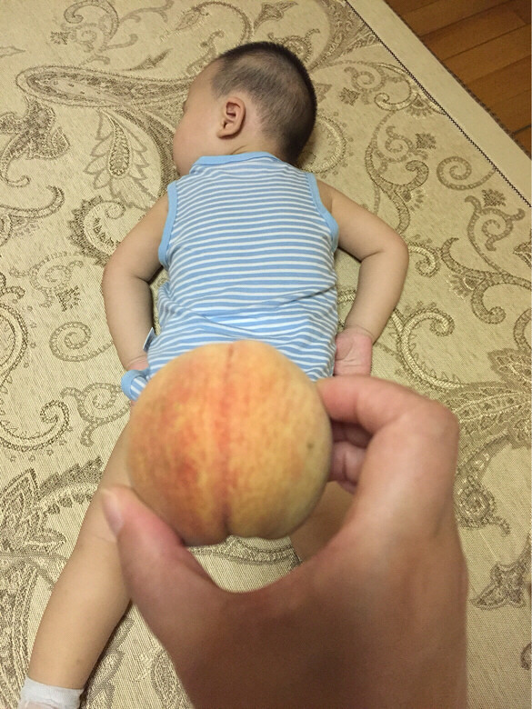 �����ε��ջ�