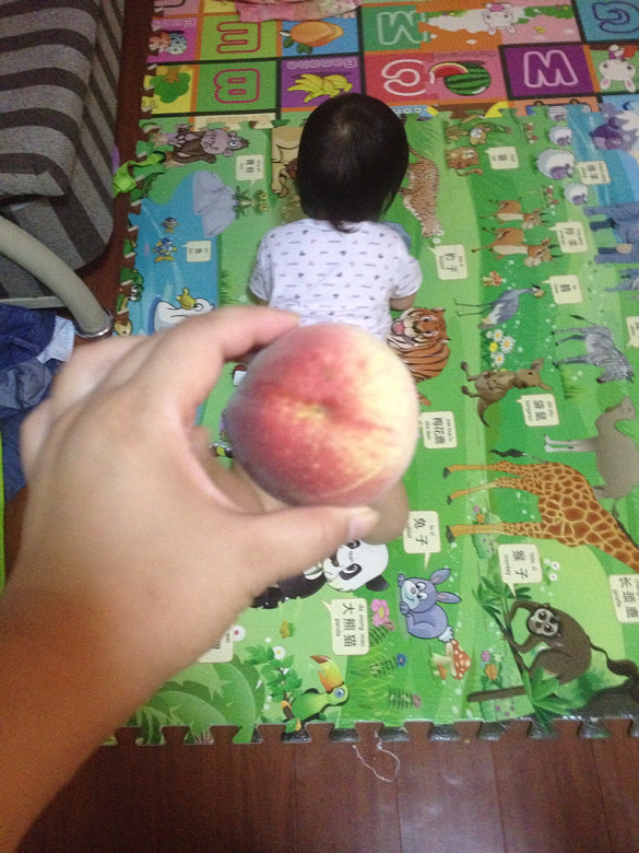 ������ʮ������