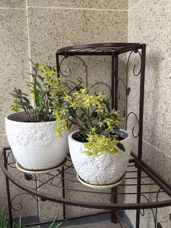 û�������������ȴ����С���