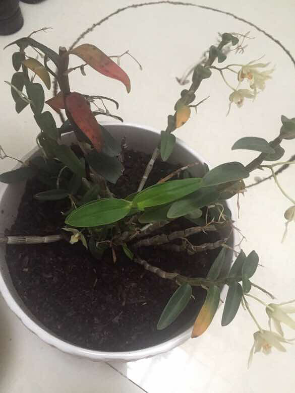 û�������������ȴ����С���