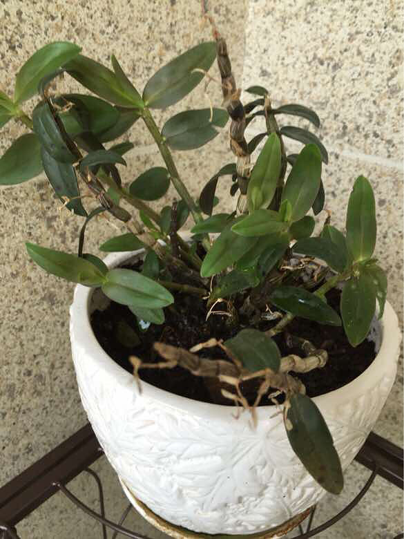 û�������������ȴ����С���