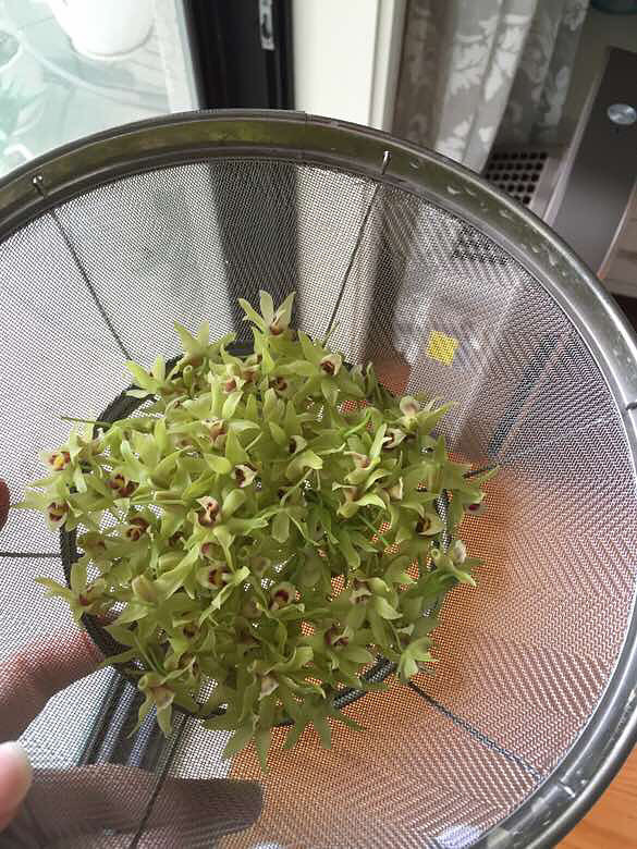 û�������������ȴ����С���