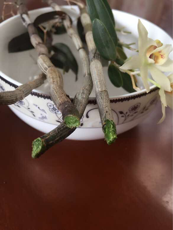 û�������������ȴ����С���