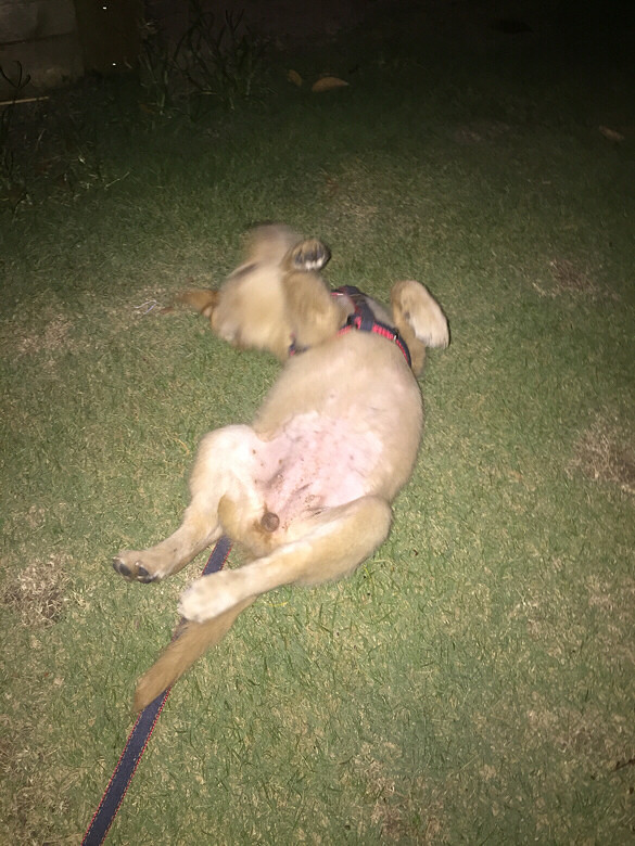 ���컯��֮�£�̹��¶�飬������